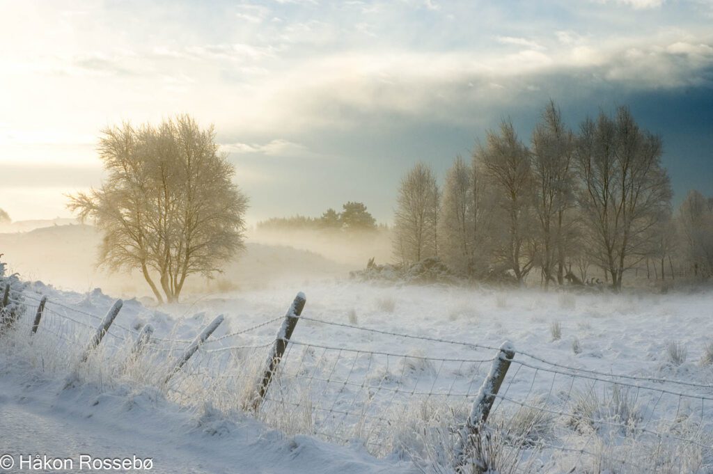 Gammelt bilde fra Asparhaug snødag