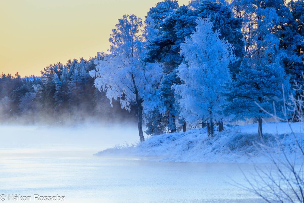 Iskald frost morgen og frost på trær ved Hornesund bru, Evje-Hornes