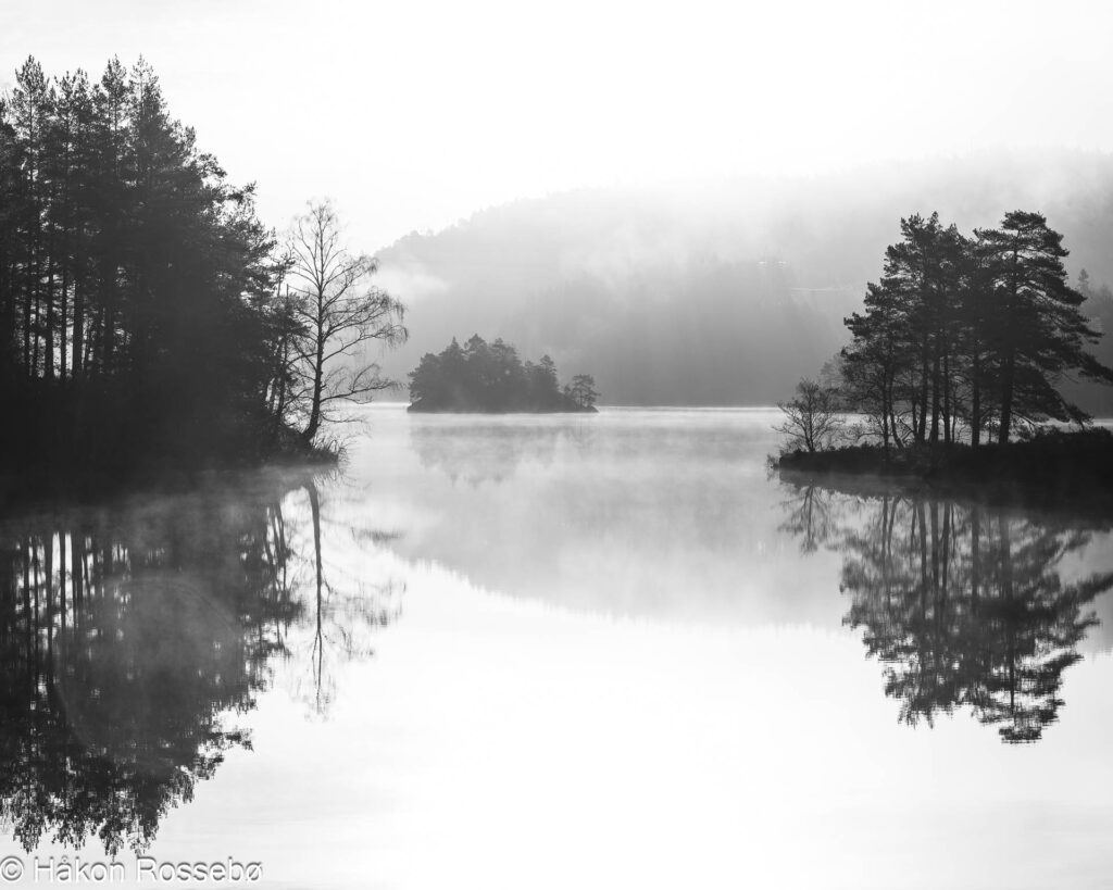 Farvannet morgentåke på høsten i svart-hvitt