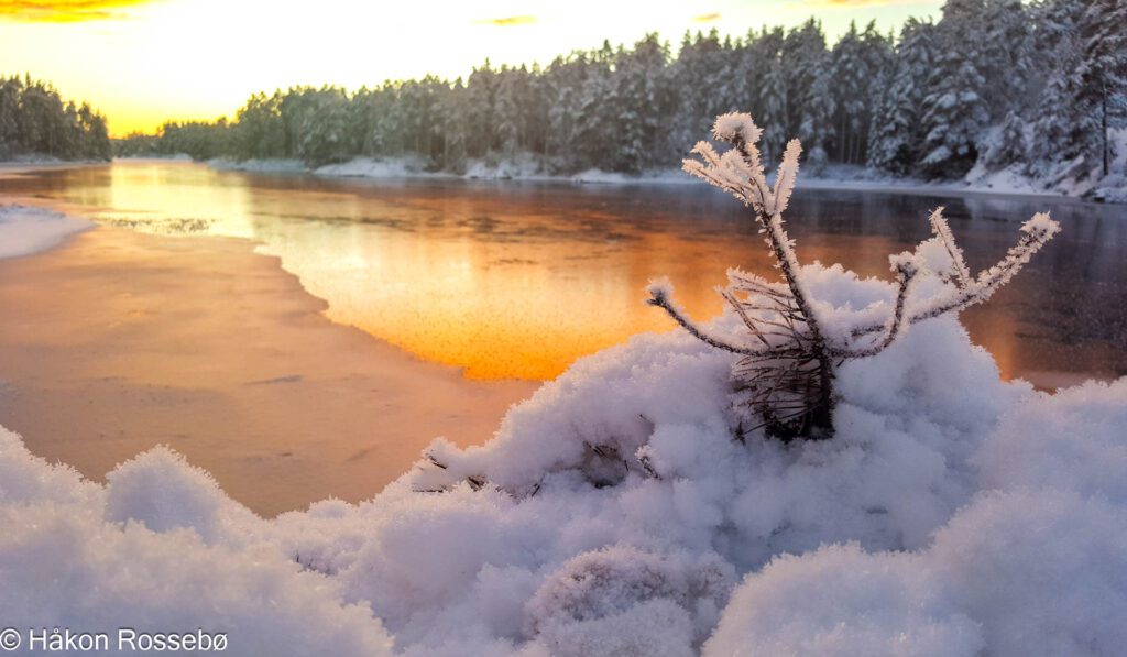 Iskald vinterdag langs Oggevatn