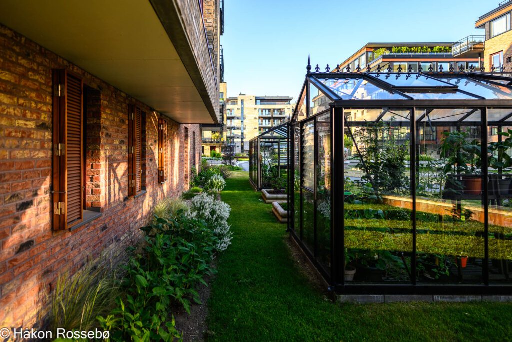 Bystranda Blå i Kristiansand, Tangen, Arkitektur foto, drivhus