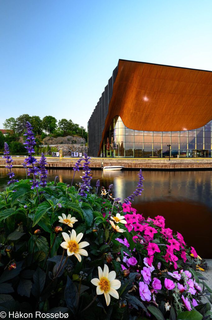 Kilden i Kristiansand, blomster, kveldssol