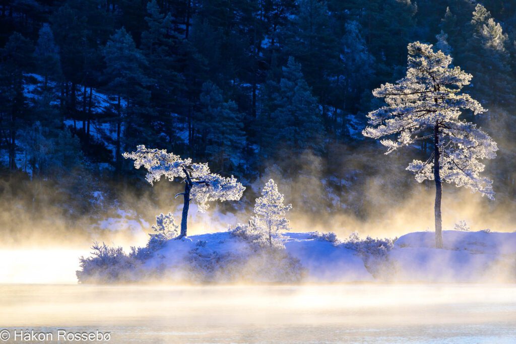 Skaiå - Røyknes - Morgenfrost og sol