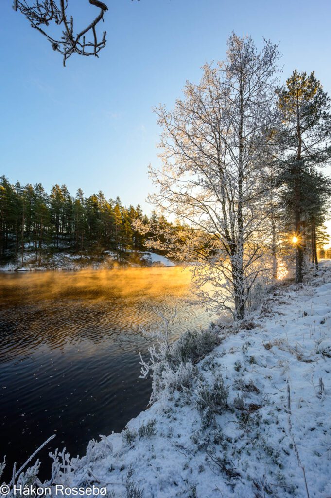 Skaiå - Røyknes - Morgenfrost og sol