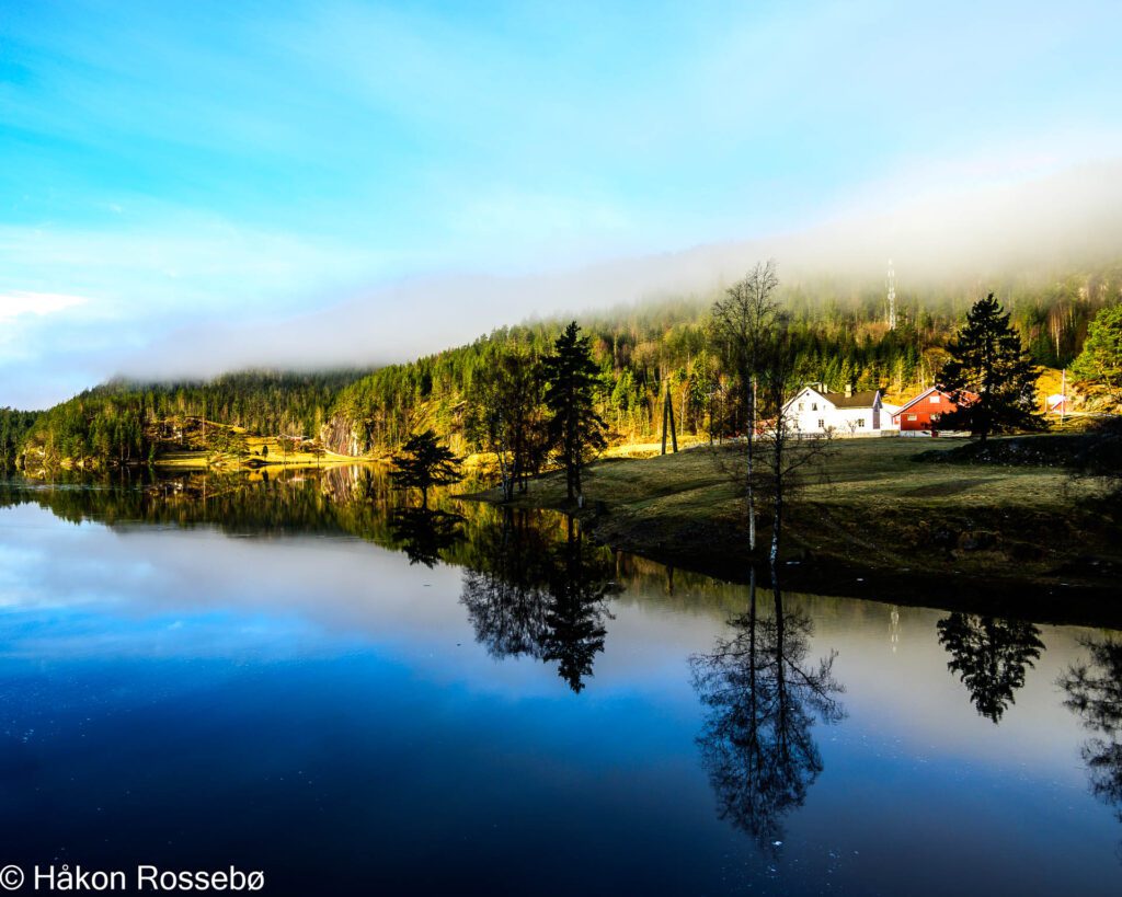 Tåke og Sol ved Senumstad