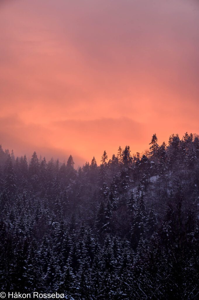 Solnedgang vinter i Vennesla
