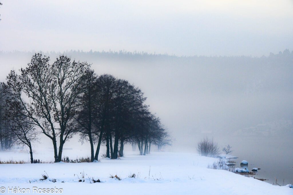 Vinter ved Støa og Vennesla Hestesportsenter, Venneslafjorden